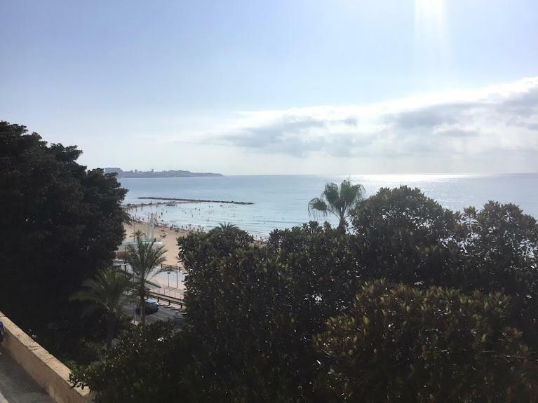 Estupendo Preciosas Vistas Alicante Exterior foto